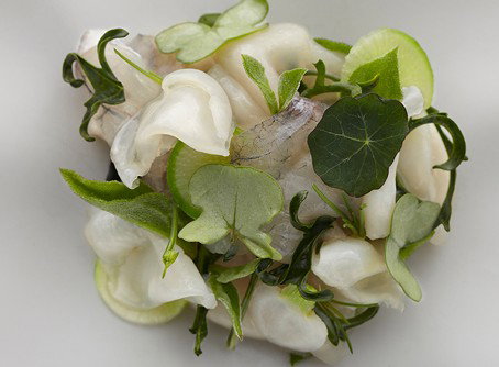 Quay - Tourism Townsville 1