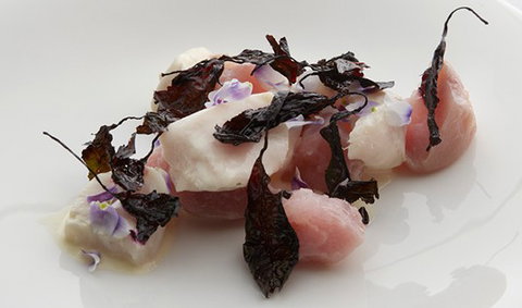 Quay - Tourism Townsville 3