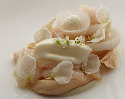 Quay - Tourism Townsville 4