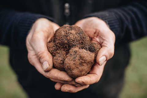 A Taste Of Truffles - Tourism Townsville 0