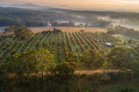 A Taste Of Truffles - Tourism Townsville 1