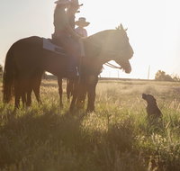 Balonne Cutting Horse Futurity - Tourism Townsville