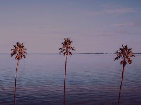 Sunset Streaming Live DJ Streams - Tourism Townsville 0