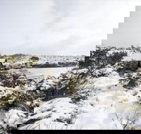 Christmas in July at Cradle Mountain Hotel 2020 - Tourism Townsville