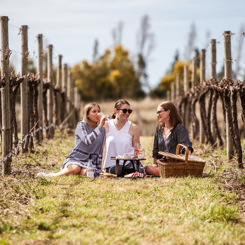Family Picnic Weekend - Tourism Townsville 0