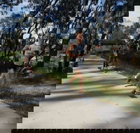 Ned Kelly Chase - Tourism Townsville