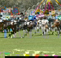 Wangaratta Show - Tourism Townsville