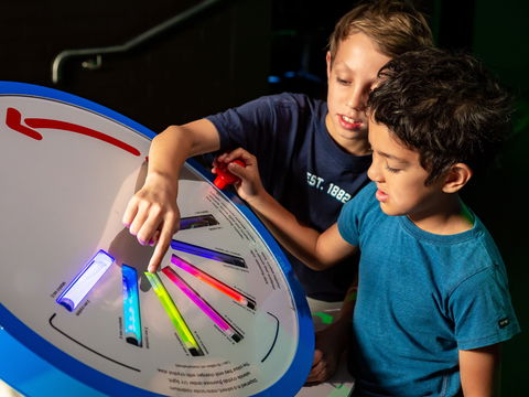 Colour: See The World In A New Light - Tourism Townsville 2