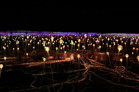 Field Of Light Uluru - Tourism Townsville 1