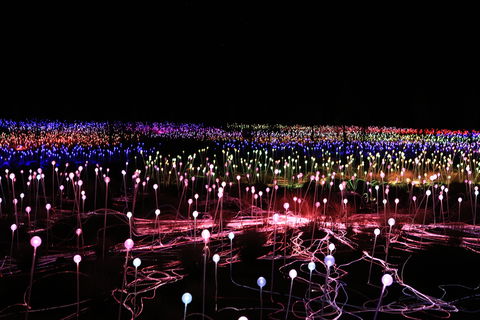 Field Of Light Uluru - Tourism Townsville 2