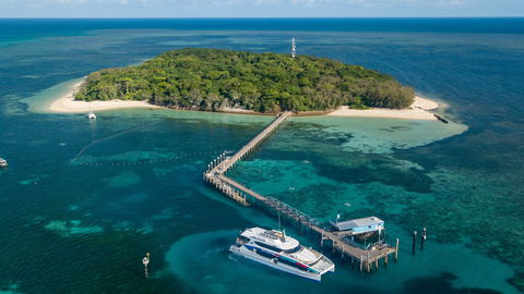 Great Adventures Green Island Ocean Swim - Tourism Townsville 0