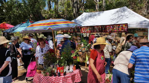 Karragarra Sea Market Festival - Tourism Townsville 0