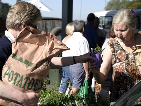 Sale  Producers Market - Tourism Townsville 0
