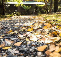 Cradle Forest Inn - Tourism Townsville