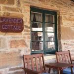 Lavender Cottage B & B - Tourism Townsville 0