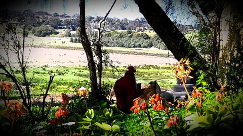 A La Folly - Tourism Townsville 6