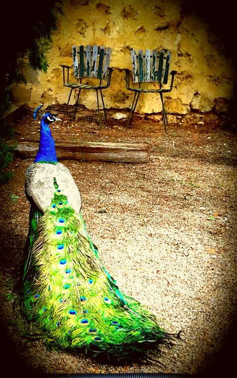 A La Folly - Tourism Townsville 4