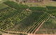 Farview Guest Accommodation - thumb 3