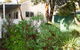 Farview Guest Accommodation - thumb 4