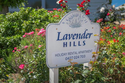 Lavender Hills 12 Bennett Street - Tourism Townsville 7