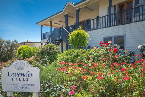 Lavender Hills 12 Bennett Street - Tourism Townsville 3