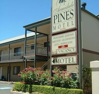 Armidale Pines Motel - Tourism Townsville