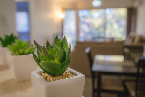 Sanctuary Lake Apartments - Tourism Townsville 6