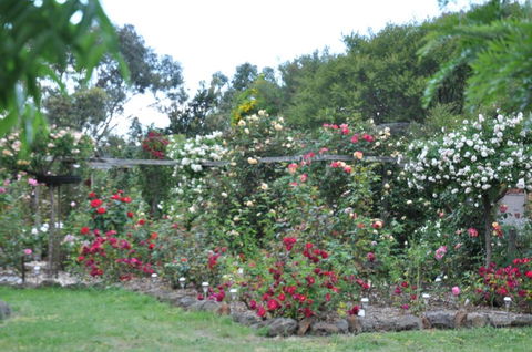 Fairy Wren Cottage Country To Coast Retreat - Tourism Townsville 6