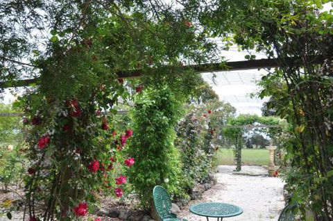 Fairy Wren Cottage Country To Coast Retreat - Tourism Townsville 1