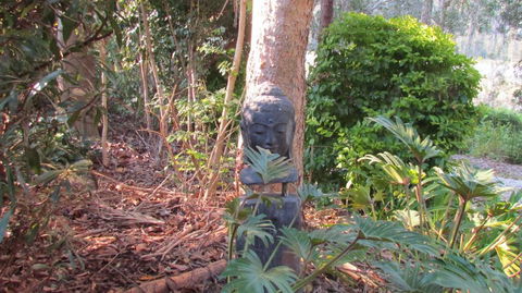 Lake Russell Lakeside Retreat - Tourism Townsville 4