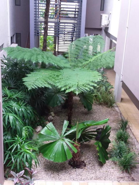 Jackies Studio Apartment - Tourism Townsville 5