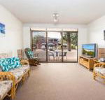 Seahorse 4 - Tourism Townsville