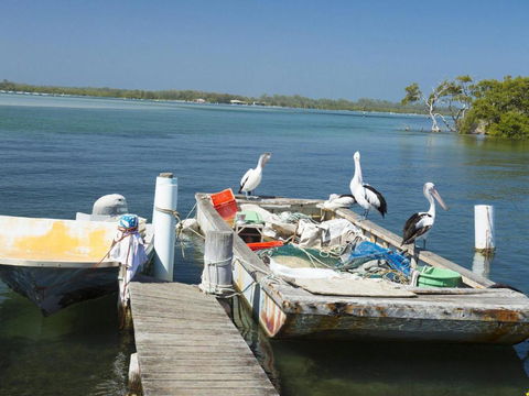 Fairholme 12 - Tourism Townsville 6