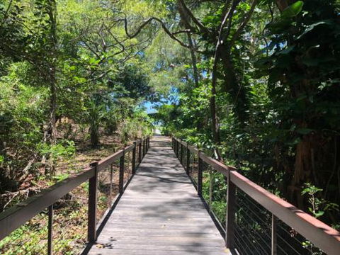 LANDSCAPE At PALM COVE - Tourism Townsville 1