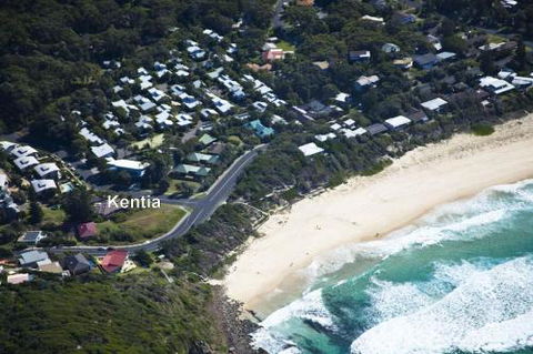 KENTIA - Tourism Townsville 0