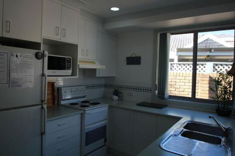 KENTIA - Tourism Townsville 4