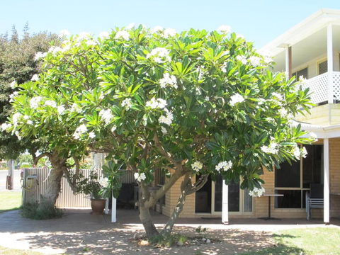 Kalbarri Riverfront Unit - Tourism Townsville 3