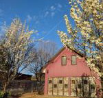 Magenta Cottage - Tourism Townsville