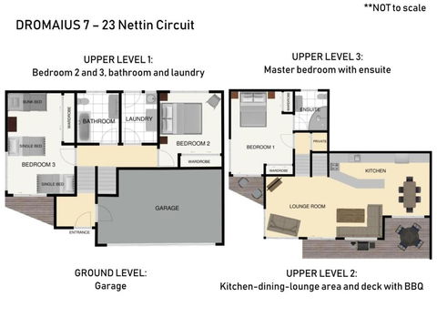 Dromaius 7 / 23 Nettin Circuit - Tourism Townsville 4