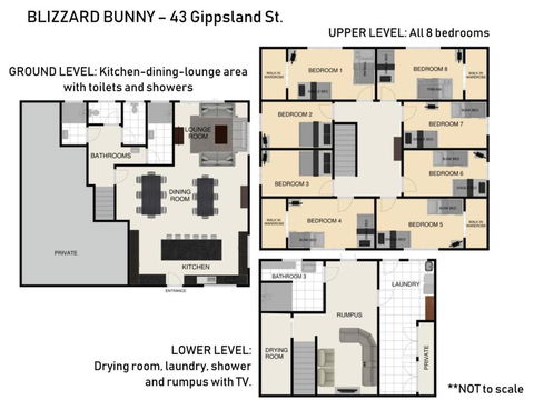 Blizzard Bunny Lodge - Tourism Townsville 5