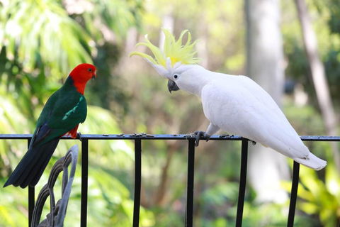 Palm Beach Bed & Breakfast - Tourism Townsville 4