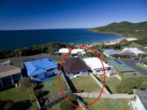 Buena Vista - Tourism Townsville 1