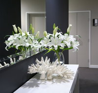 Springfield Lakes Boutique Hotel - Tourism Townsville