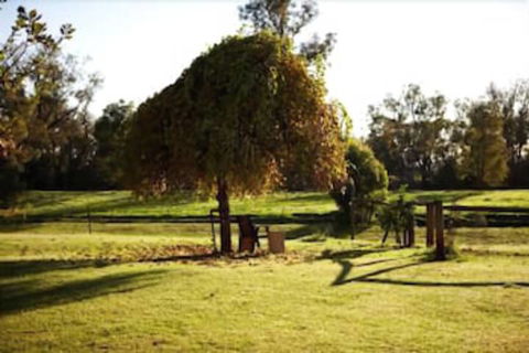 Lazy River Boutique Bed & Breakfast - Tourism Townsville 7