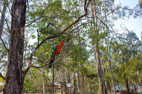 Kalimna Woods Cottages - Tourism Townsville 2