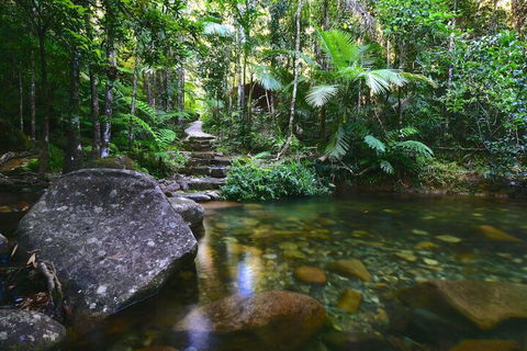 Daintree Cascades - Tourism Townsville 2
