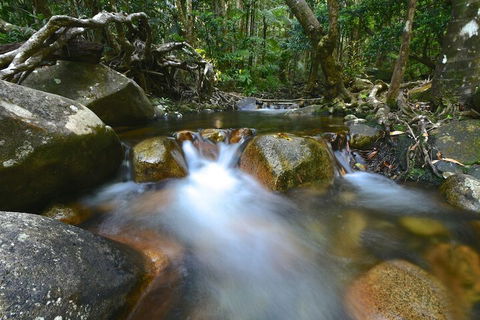 Daintree Cascades - Tourism Townsville 1