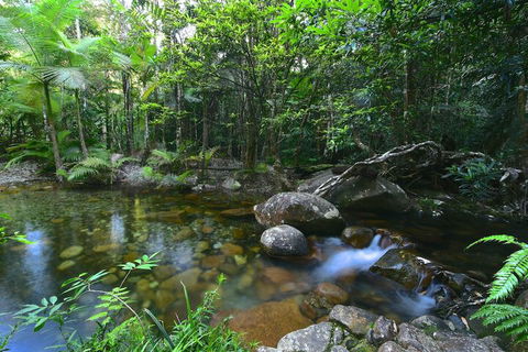 Daintree Cascades - Tourism Townsville 5