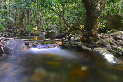 Daintree Cascades - Tourism Townsville 6