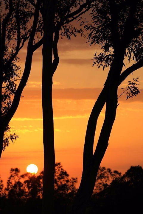 Bella Wind Bed & Breakfast - Tourism Townsville 3